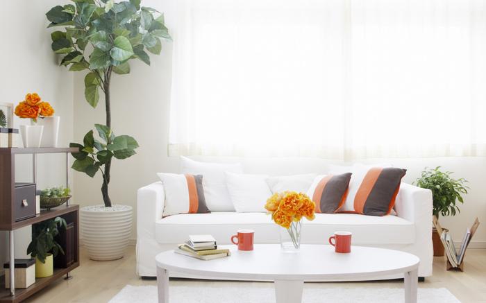 除濕機和空氣凈化器有什么不同？教你如何選擇這兩者！