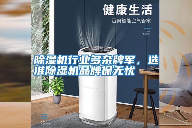 除濕機(jī)行業(yè)多雜牌軍,選準(zhǔn)除濕機(jī)品牌保無(wú)憂