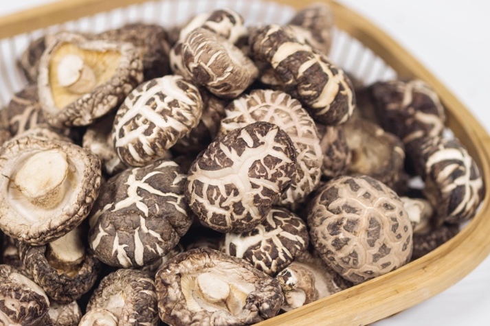 干貨倉庫怎么利用除濕機保持干爽？