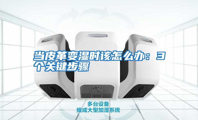 當(dāng)皮革變濕時該怎么辦:3個關(guān)鍵步驟