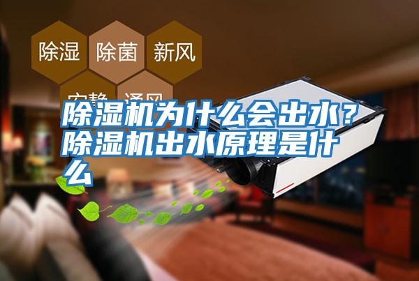 除濕機(jī)為什么會(huì)出水?除濕機(jī)出水原理是什么