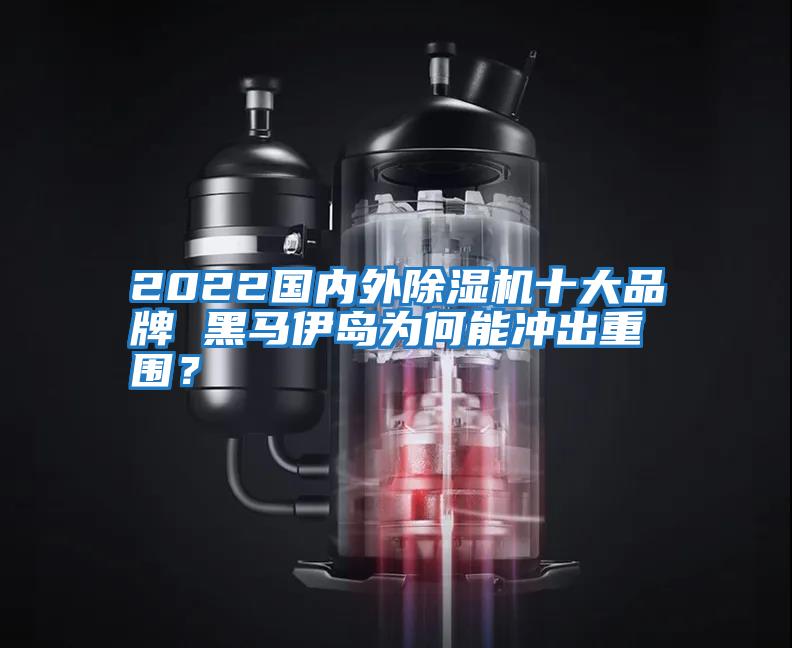 2022國內(nèi)外除濕機十大品牌 黑馬伊島為何能沖出重圍?