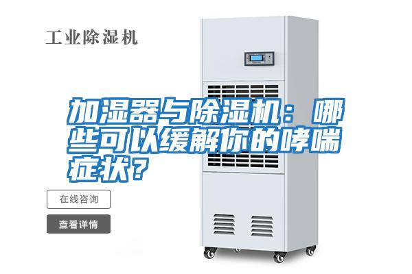 加濕器與除濕機:哪些可以緩解你的哮喘癥狀?