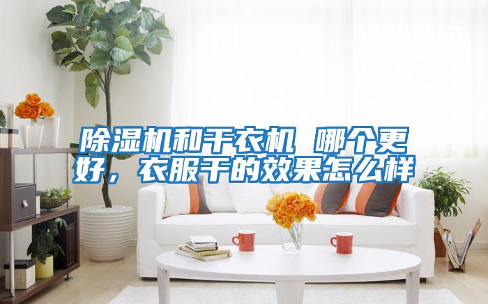 除濕機(jī)和干衣機(jī) 哪個更好,衣服干的效果怎么樣