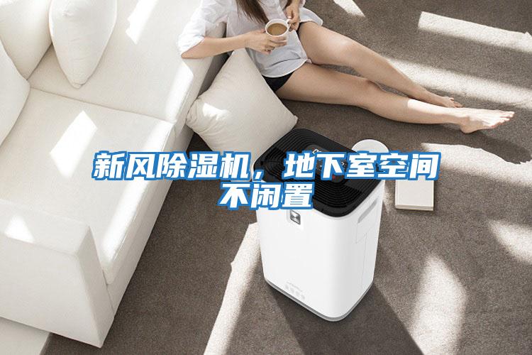 新風(fēng)除濕機(jī),地下室空間不閑置