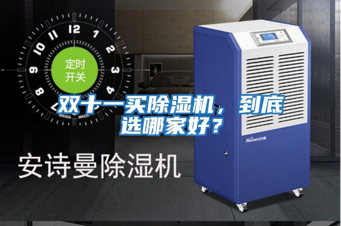 雙十一買除濕機，到底選哪家好？