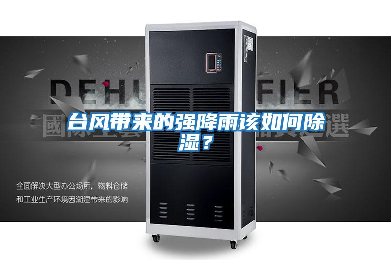 臺風(fēng)帶來的強降雨該如何除濕？