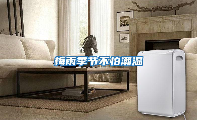 梅雨季節不怕潮濕