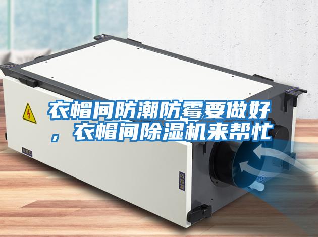 衣帽間防潮防霉要做好,衣帽間除濕機(jī)來幫忙