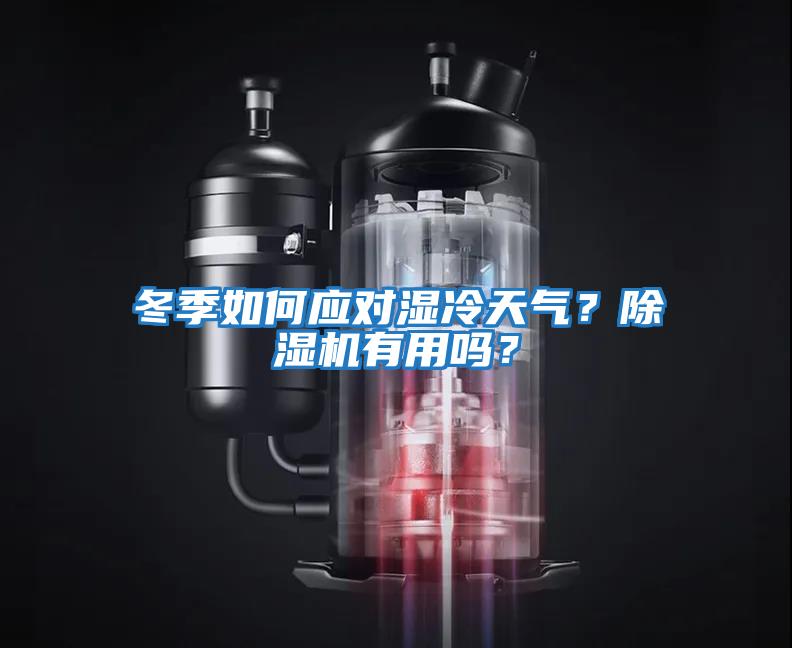 冬季如何應對濕冷天氣？除濕機有用嗎？