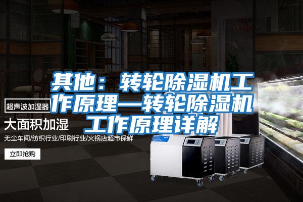 其他:轉(zhuǎn)輪除濕機(jī)工作原理—轉(zhuǎn)輪除濕機(jī)工作原理詳解