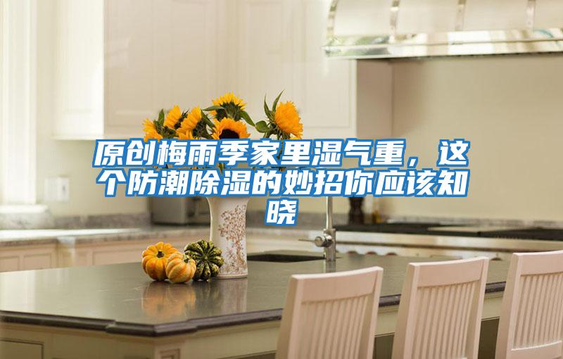 原創梅雨季家里濕氣重,這個防潮除濕的妙招你應該知曉