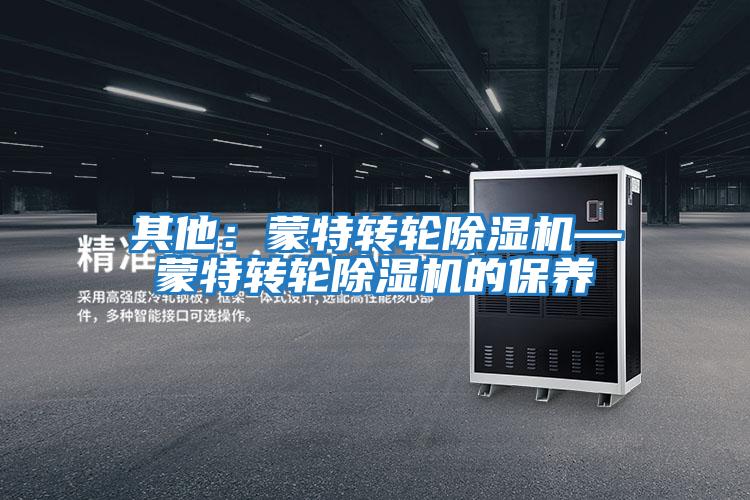 其他:蒙特轉(zhuǎn)輪除濕機(jī)—蒙特轉(zhuǎn)輪除濕機(jī)的保養(yǎng)