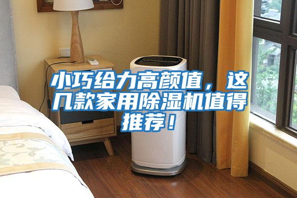 小巧給力高顏值，這幾款家用除濕機值得推薦！