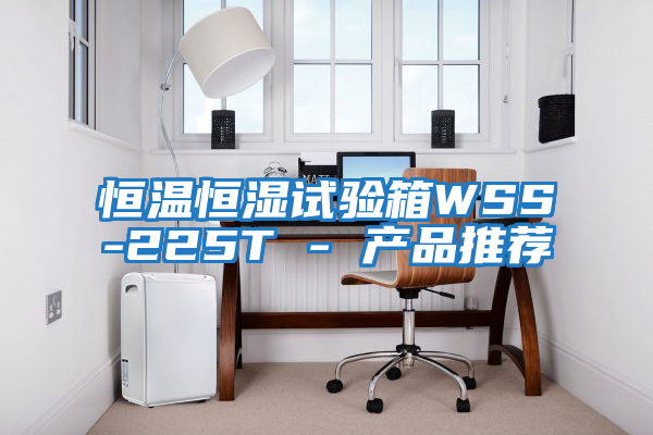 恒溫恒濕試驗箱WSS-225T - 產品推薦