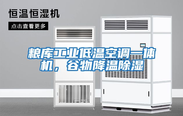 糧庫工業低溫空調一體機，谷物降溫除濕