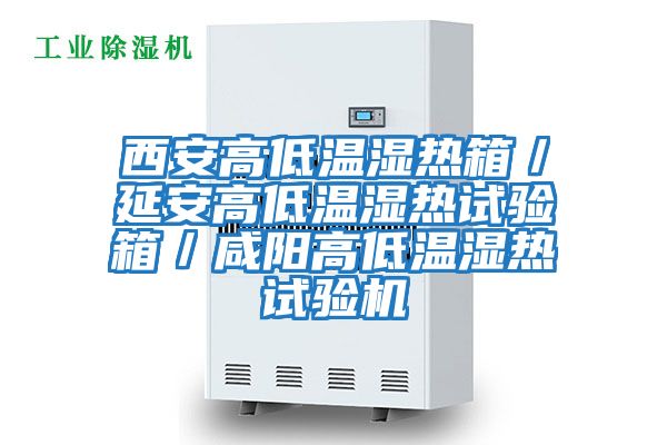 西安高低溫濕熱箱/延安高低溫濕熱試驗箱/咸陽高低溫濕熱試驗機