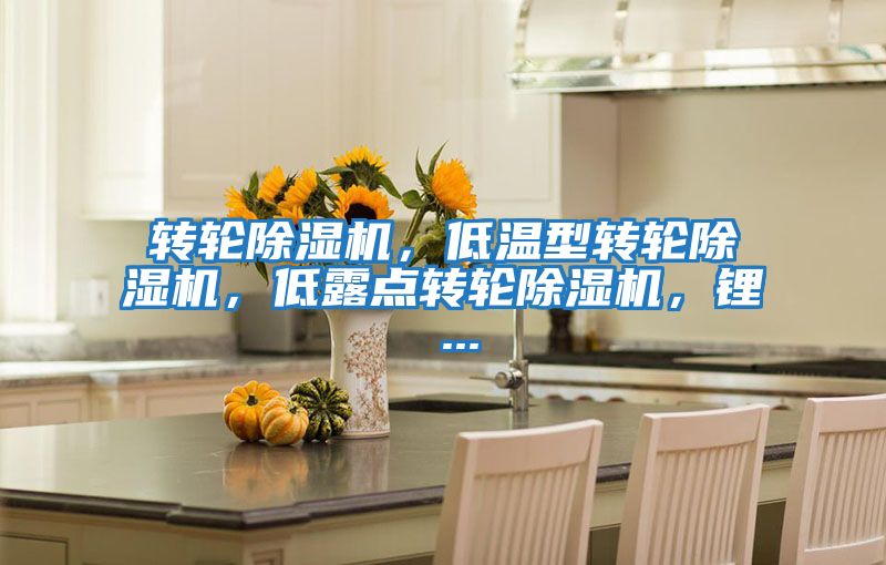 轉輪除濕機，低溫型轉輪除濕機，低露點轉輪除濕機，鋰 ...
