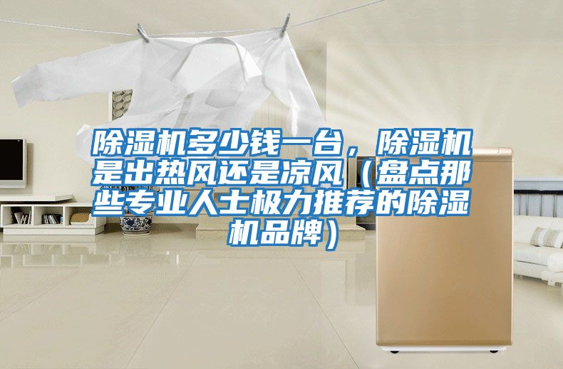 除濕機多少錢一臺,除濕機是出熱風還是涼風(盤點那些專業人士極力推薦的除濕機品牌)