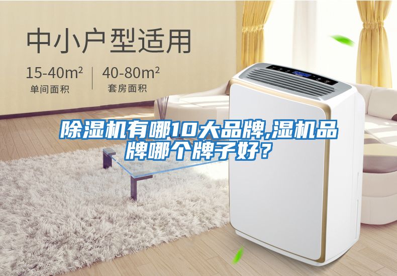 除濕機有哪10大品牌,濕機品牌哪個牌子好？