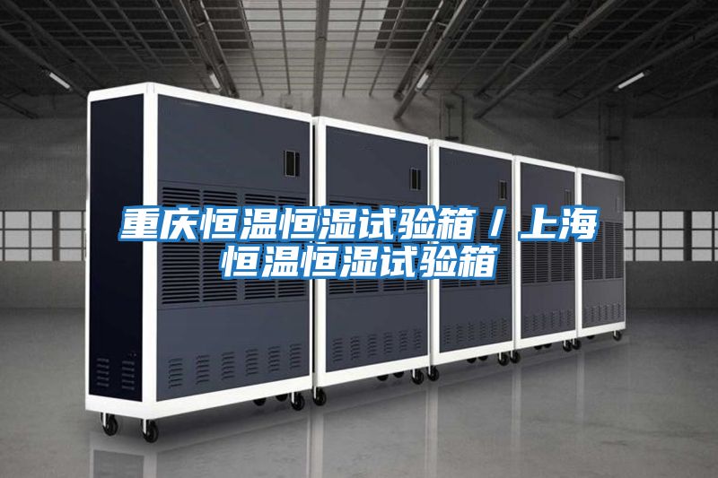 重慶恒溫恒濕試驗(yàn)箱/上海恒溫恒濕試驗(yàn)箱
