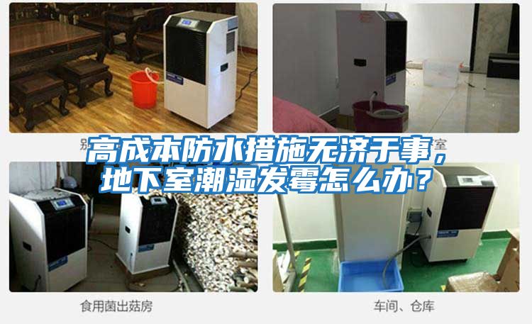 高成本防水措施無濟于事，地下室潮濕發霉怎么辦？