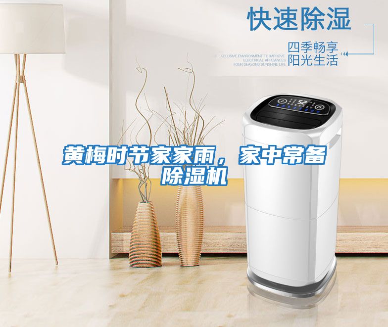 黃梅時節家家雨,家中常備除濕機
