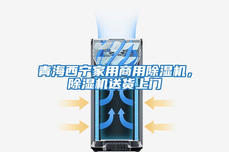 青海西寧家用商用除濕機(jī),除濕機(jī)送貨上門